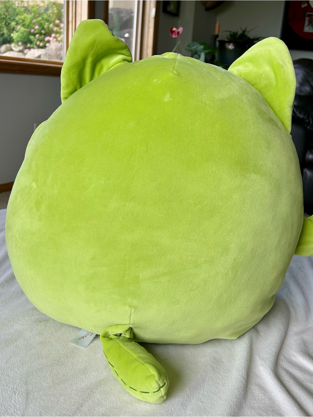 Squishmallows Ms Miss Cactus Cat 20 inch - Picture 2 of 6